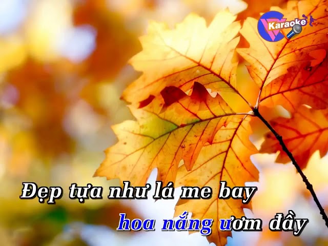 Karaoke Vùng Lá Me Bay – Như Quỳnh