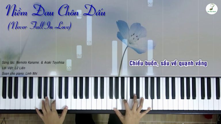 Niềm Đau Chôn Dấu (Never Fall In Love) – Piano cover